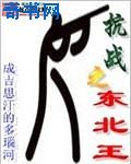 抗战之东北王